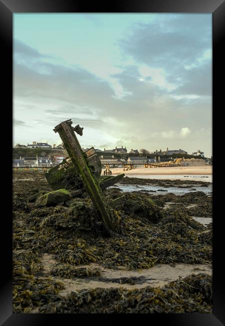 Old Beached Shipwreck Framed Print by Mark Fraser