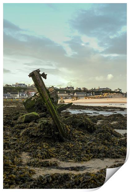 Old Beached Shipwreck Print by Mark Fraser