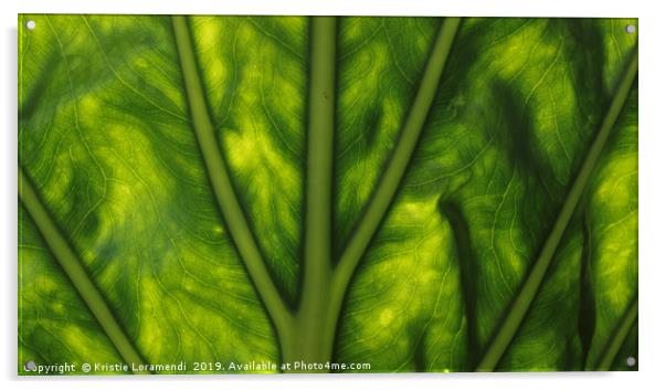 Back-lit Leaf Acrylic by Kristie Loramendi