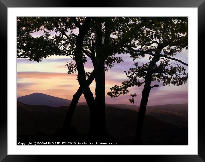 "Trees on the mountain top" Framed Mounted Print by ROS RIDLEY