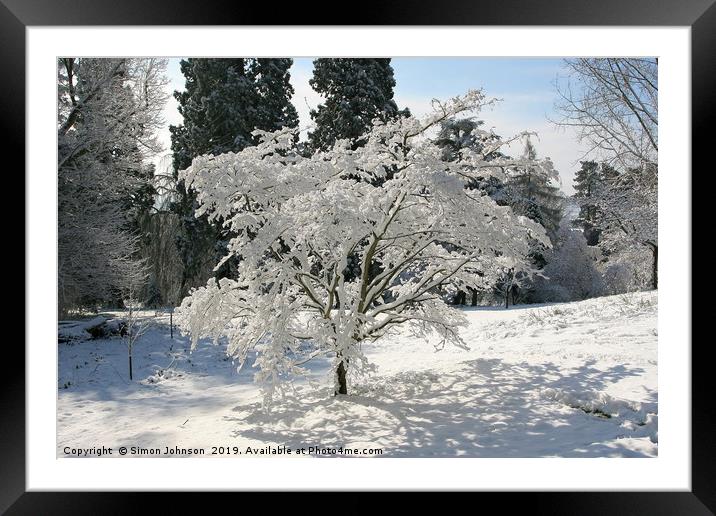 Tree blanketed in snow Framed Mounted Print by Simon Johnson