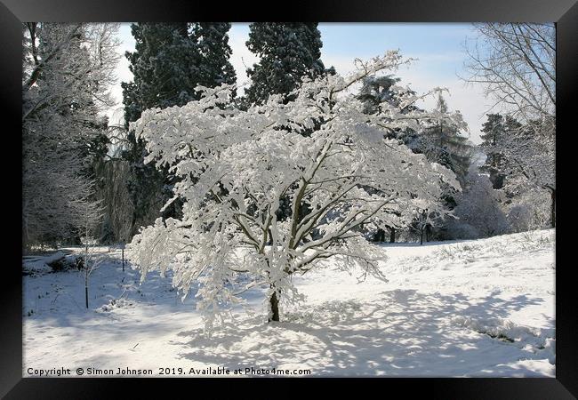 Tree blanketed in snow Framed Print by Simon Johnson