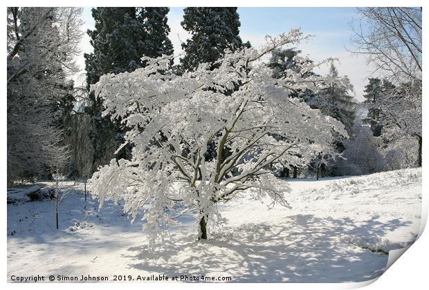 Tree blanketed in snow Print by Simon Johnson