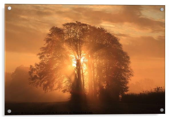 Misty Sunrise Acrylic by Simon Johnson