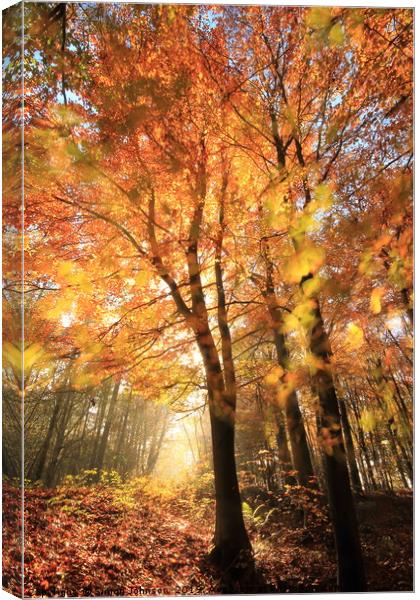 Sunlit Autumn Woods Cotswolds Canvas Print by Simon Johnson