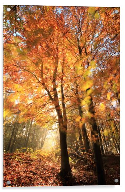 Sunlit Autumn Woods Cotswolds Acrylic by Simon Johnson