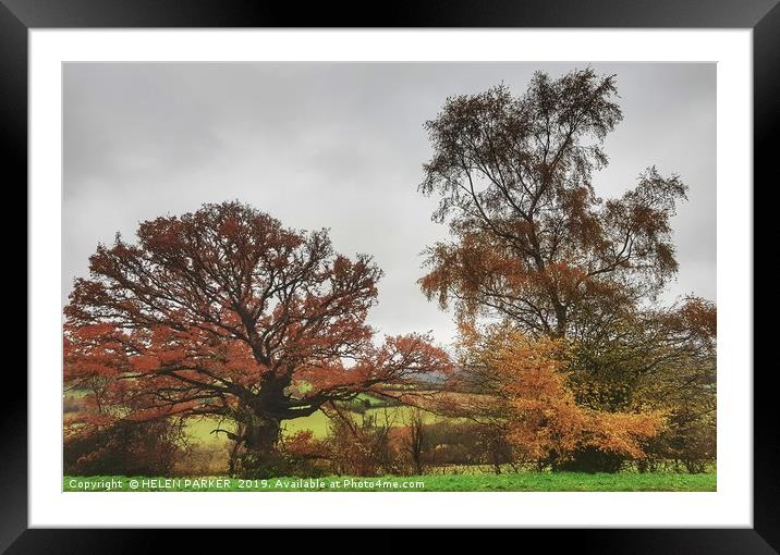 Glorious Autumn Framed Mounted Print by HELEN PARKER