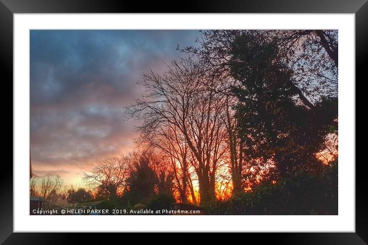 Spectacular sunrise through the trees Framed Mounted Print by HELEN PARKER