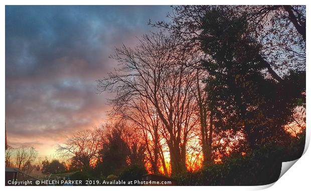 Spectacular sunrise through the trees Print by HELEN PARKER