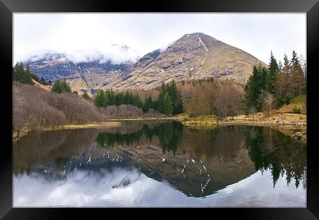 Reflections Framed Print by Jacqi Elmslie