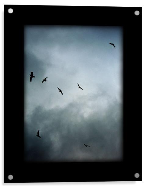 the birds Acrylic by Heather Newton