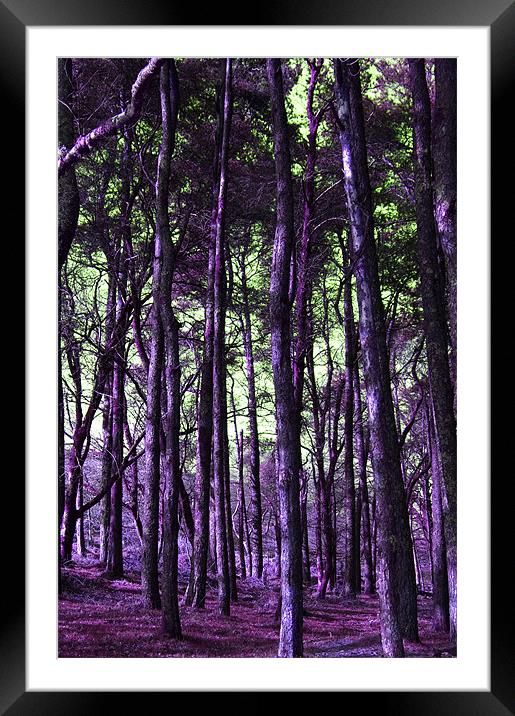 From a different hue point Framed Mounted Print by Dan Thorogood