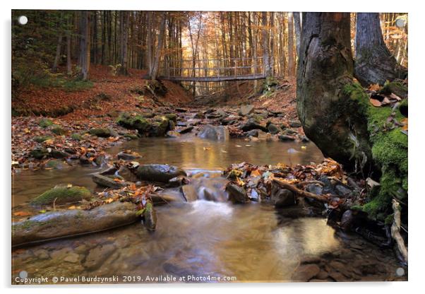 Autumn stream Acrylic by Pawel Burdzynski
