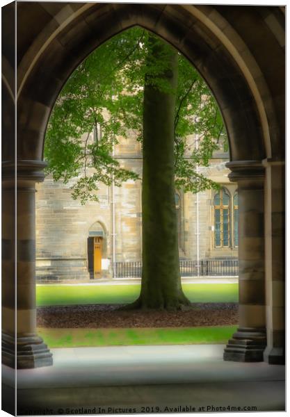 View From The Cloisters Canvas Print by Tylie Duff Photo Art