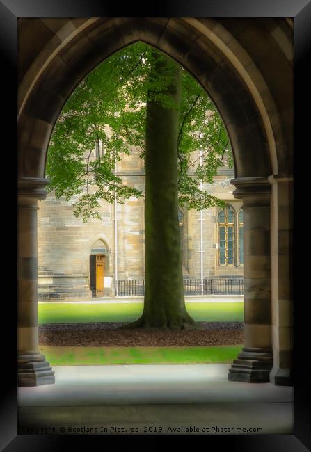 View From The Cloisters Framed Print by Tylie Duff Photo Art