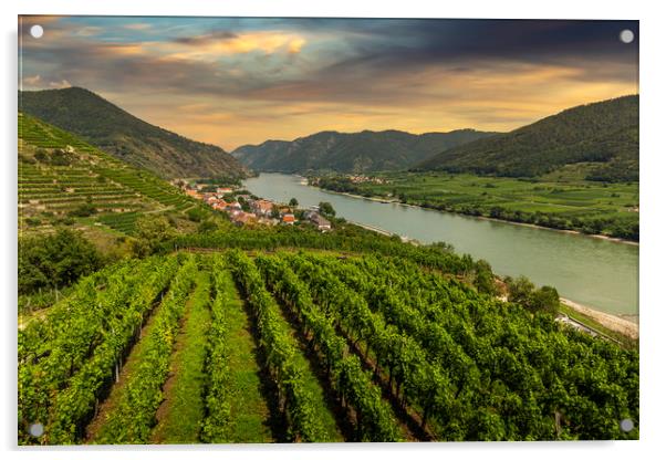 Green vineyard landscape in Wachau valley with the Acrylic by Sergey Fedoskin