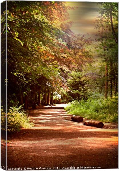 Forest Trail Canvas Print by Heather Goodwin