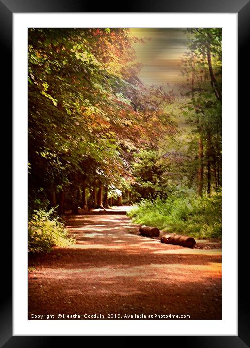 Forest Trail Framed Mounted Print by Heather Goodwin