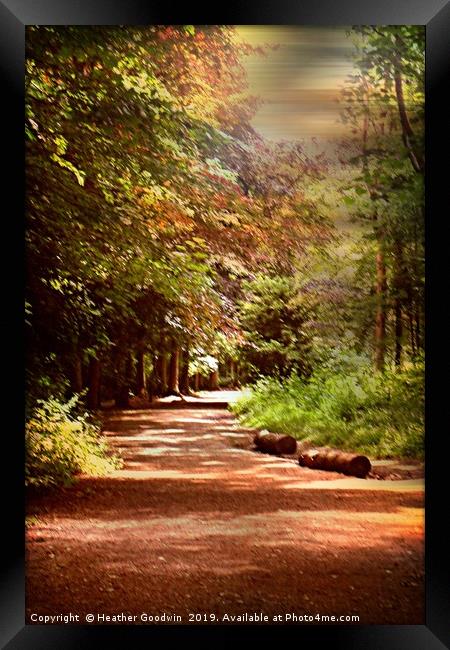 Forest Trail Framed Print by Heather Goodwin