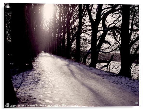 Winter Avenue Acrylic by John Robertson