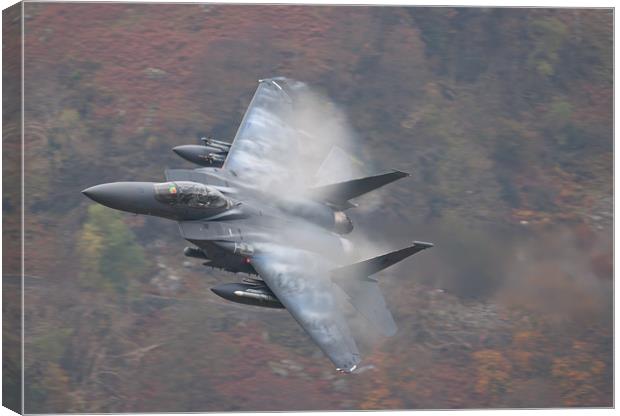 F15 on Corris Corner Canvas Print by Rory Trappe