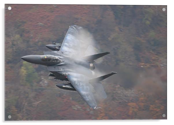 F15 on Corris Corner Acrylic by Rory Trappe