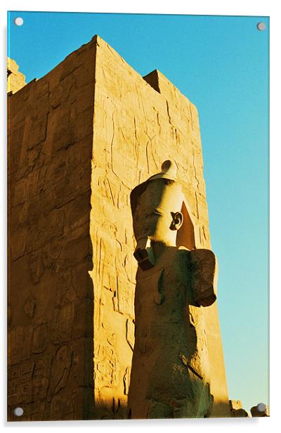 Luxor Temple Pharoah Acrylic by David Gardener