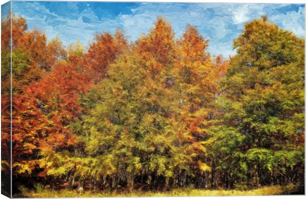 Trees, the colors of autumn Canvas Print by Guido Parmiggiani