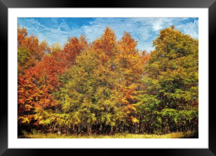 Trees, the colors of autumn Framed Mounted Print by Guido Parmiggiani