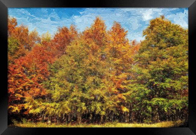 Trees, the colors of autumn Framed Print by Guido Parmiggiani