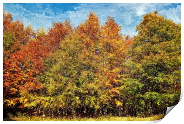 Trees, the colors of autumn Print by Guido Parmiggiani