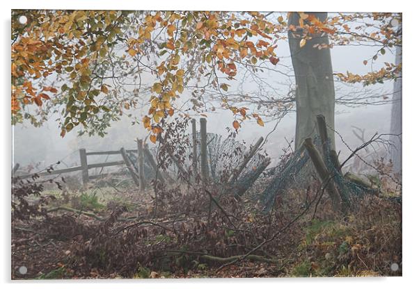 Autumn Fence Acrylic by Ann Garrett