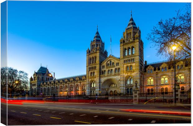 Natural History Museum at Blue Hour Canvas Print by Steve Mantell
