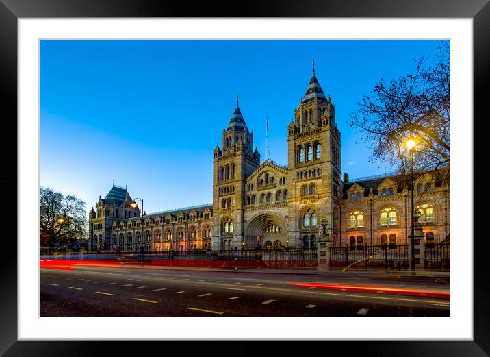 Natural History Museum at Blue Hour Framed Mounted Print by Steve Mantell