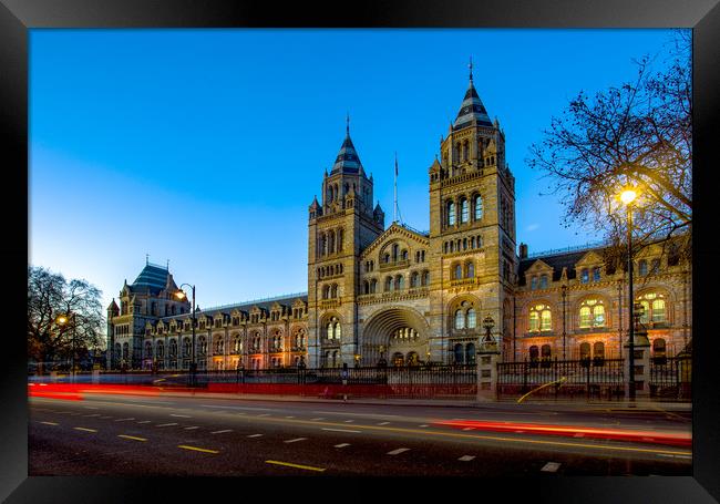 Natural History Museum at Blue Hour Framed Print by Steve Mantell