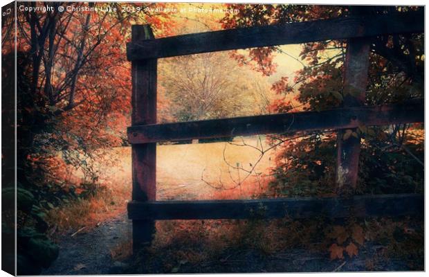 The Magic Of Autumn Canvas Print by Christine Lake