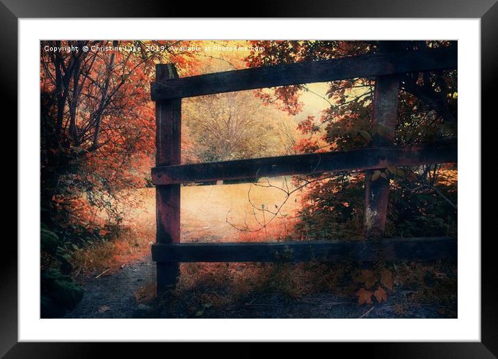 The Magic Of Autumn Framed Mounted Print by Christine Lake