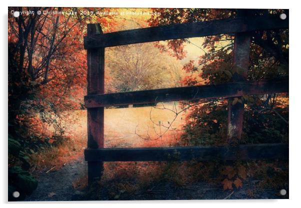 The Magic Of Autumn Acrylic by Christine Lake