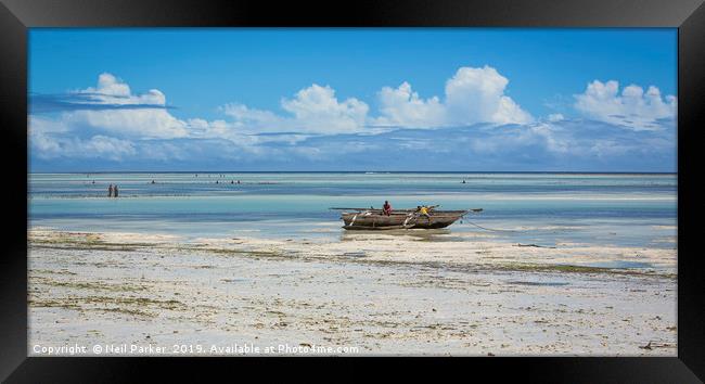 Idyllic Zanzibar Framed Print by Neil Parker