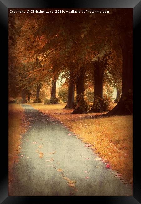 Walking Through Autumn Framed Print by Christine Lake