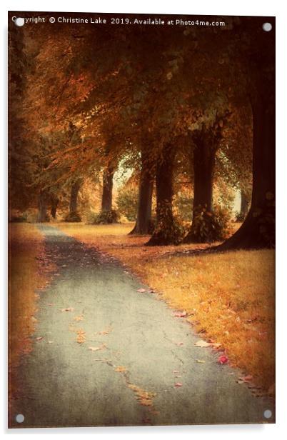 Walking Through Autumn Acrylic by Christine Lake