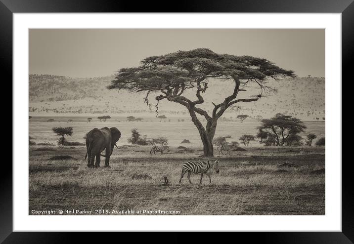 Out of Africa, Serengeti  Framed Mounted Print by Neil Parker
