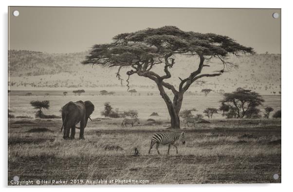 Out of Africa, Serengeti  Acrylic by Neil Parker