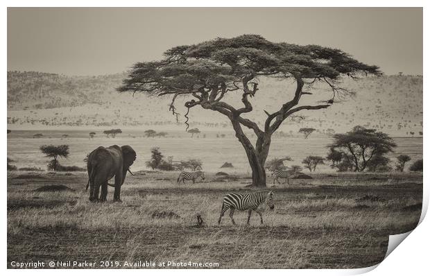 Out of Africa, Serengeti  Print by Neil Parker
