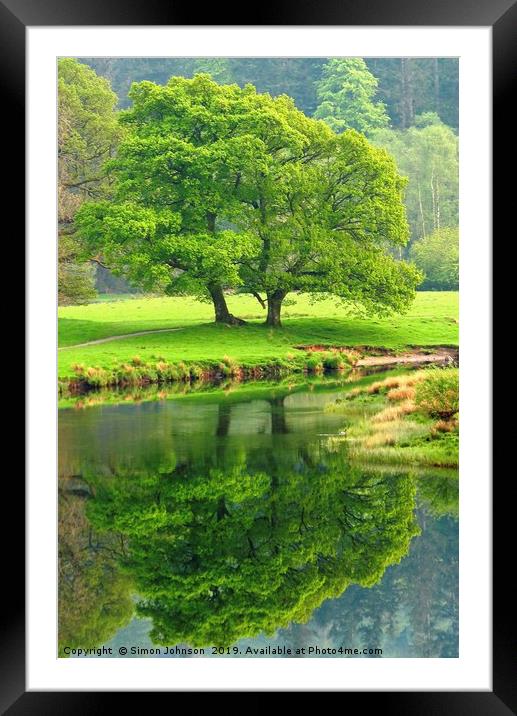 Tree Refections Langdale Framed Mounted Print by Simon Johnson