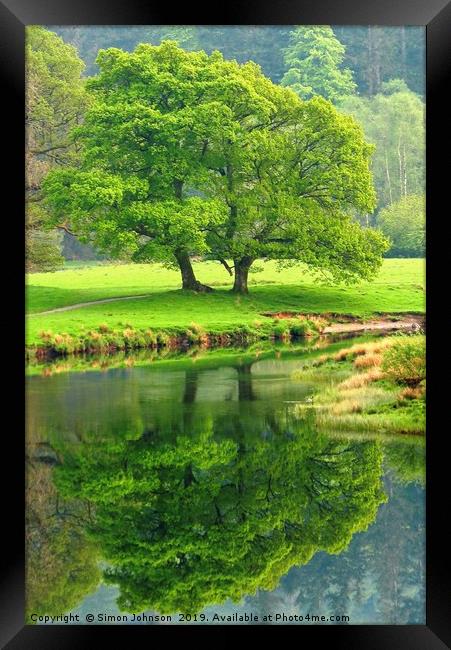 Tree Refections Langdale Framed Print by Simon Johnson