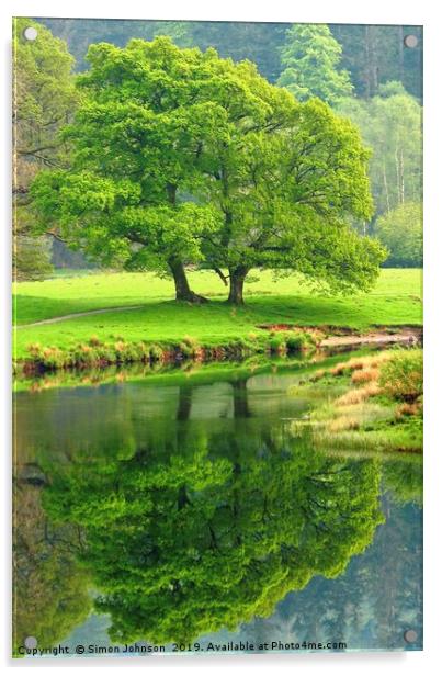 Tree Refections Langdale Acrylic by Simon Johnson