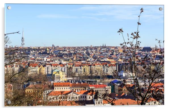 Aerial view of Prague Acrylic by Jelena Maksimova