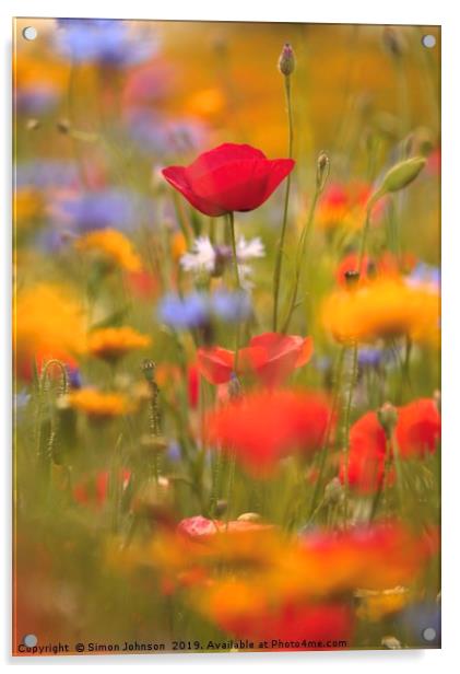 Poppies and wild flowers Acrylic by Simon Johnson