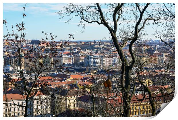 Aerial view of Prague Print by Jelena Maksimova